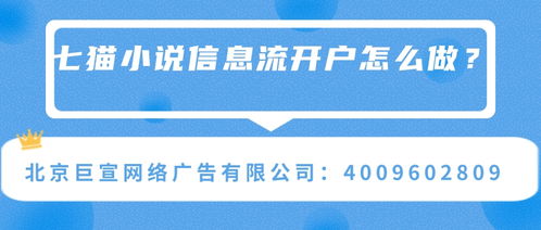 安徽七猫广告代理联系方式 安徽七猫广告开户代理 官网